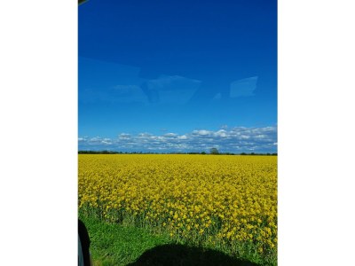 Holiday apartment Southbeach 003 - Environment photo 34