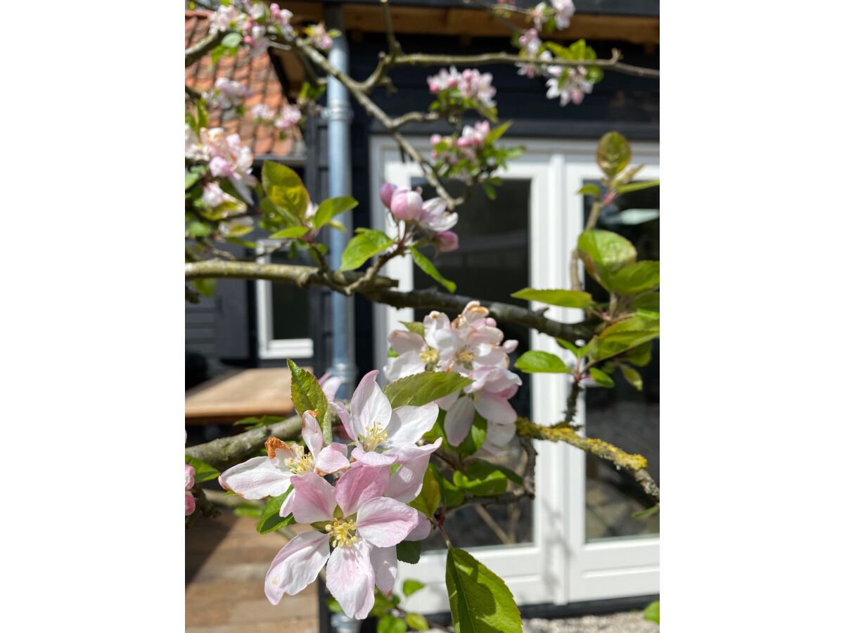 Holiday house The Lord of Bergen - Outdoor photo 3