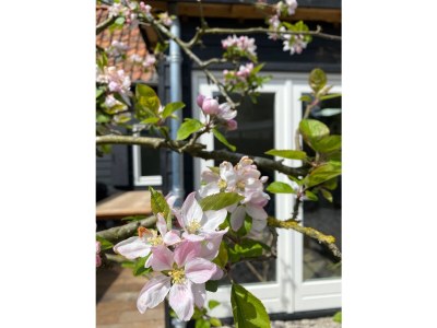 Holiday house The Lord of Bergen - Outdoor photo 3