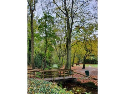 Holiday house The Lord of Bergen - Environment photo 24