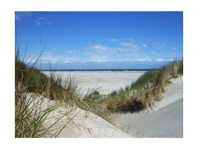 Holiday house The Lord of Bergen - Environment photo 26