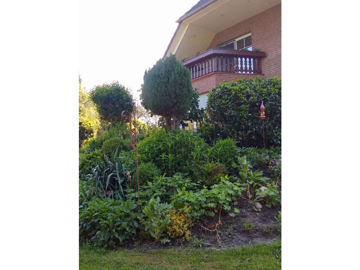 Holiday apartment Ferienwohnung Heidesee - Outdoor photo 2