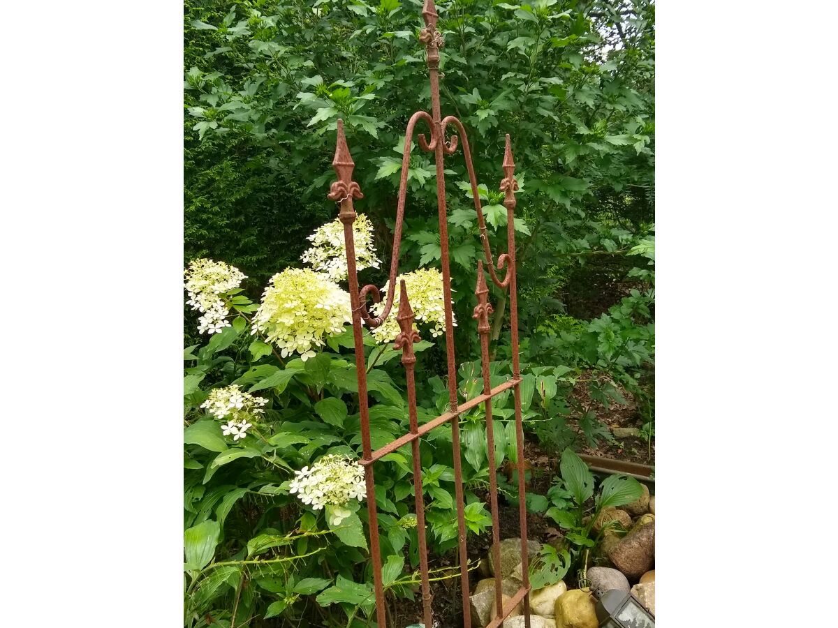 Holiday apartment Ferienwohnung Heidesee - Outdoor photo 4