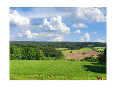 Holiday house Eifelblick Schneifel - Outdoor photo 10