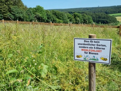 Holiday house Eifelblick Schneifel - Outdoor photo 14