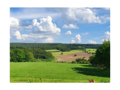 Holiday house Eifelblick Schneifel - Environment photo 30