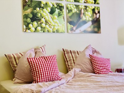 Apartment Apartment ruby - Weingut werk2 - Features photo 7