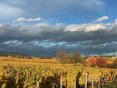 Apartment Apartment ruby - Weingut werk2 - Environment photo 12