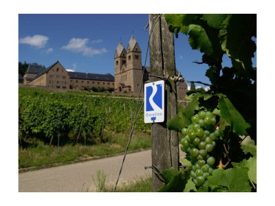 Apartment Apartment ruby - Weingut werk2 - Environment photo 13