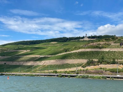 Apartment Apartment ruby - Weingut werk2 - Environment photo 14