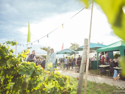 Apartment Apartment ruby - Weingut werk2 - Environment photo 16