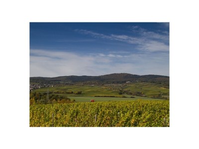 Apartment Apartment ruby - Weingut werk2 - Environment photo 19