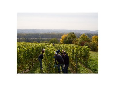 Apartment Apartment ruby - Weingut werk2 - Environment photo 21