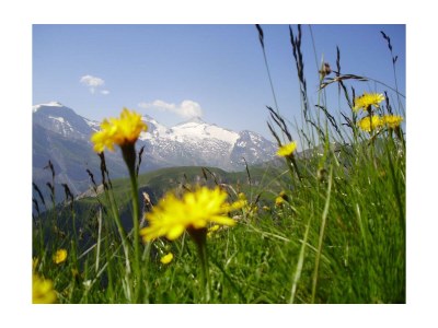 Apartment Ap./4 Doppelzimmer Wc Dusche, Bad - Outdoor photo 8