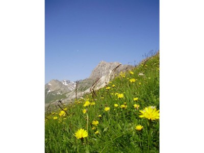 Apartment Ap./4 Doppelzimmer Wc Dusche, Bad - Outdoor photo 11