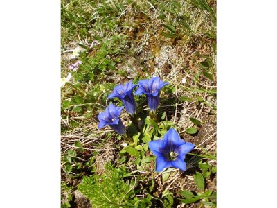 Apartment Ap./4 Doppelzimmer Wc Dusche, Bad - Outdoor photo 15