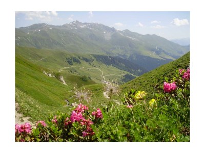 Apartment Ap./4 Doppelzimmer Wc Dusche, Bad - Outdoor photo 16