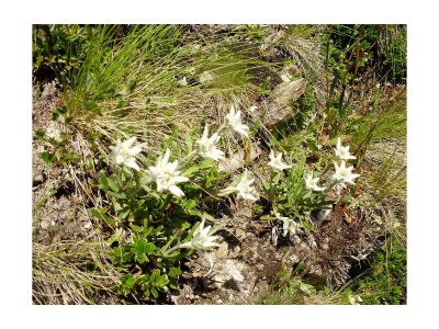 Apartment Ap./4 Doppelzimmer Wc Dusche, Bad - Outdoor photo 17