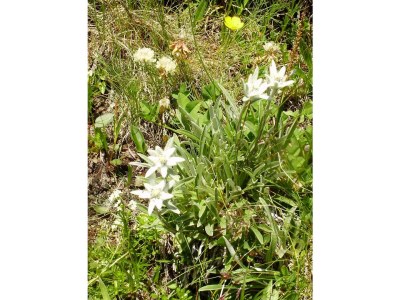 Apartment Ap./4 Doppelzimmer Wc Dusche, Bad - Outdoor photo 18