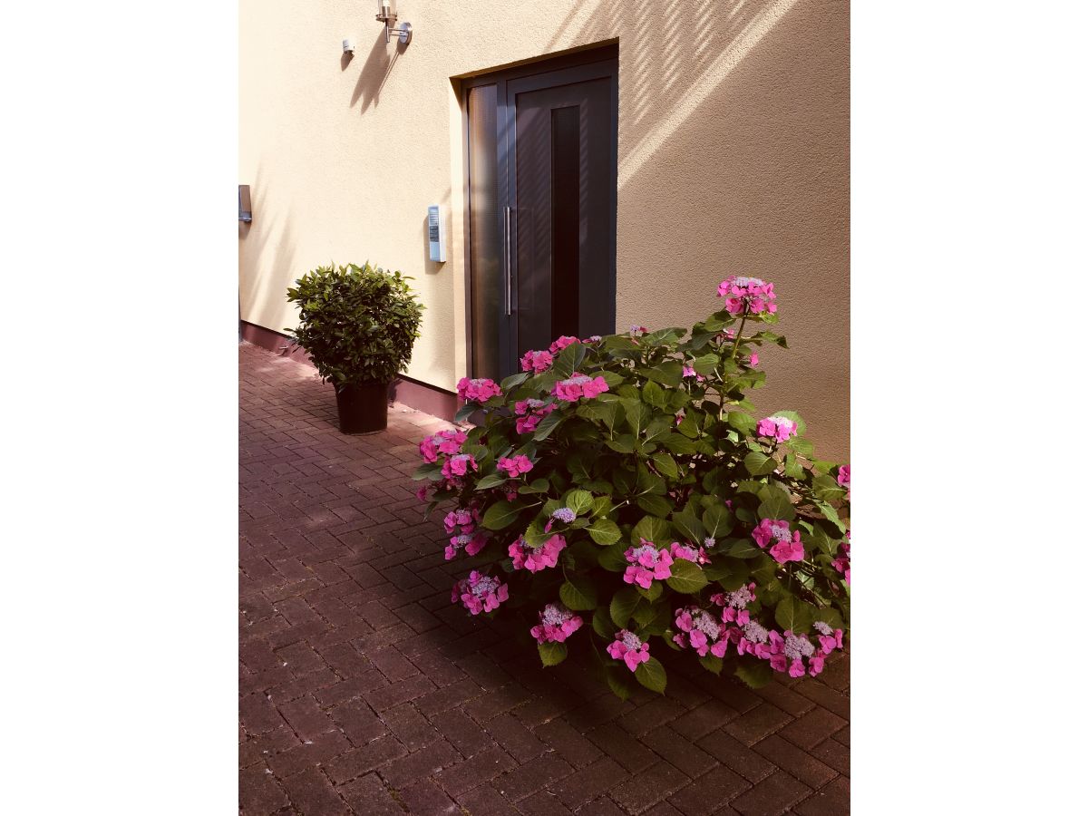 Holiday apartment Keßler - Outdoor photo 4