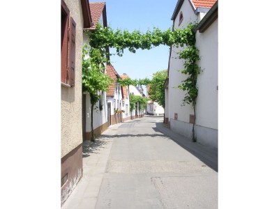 Holiday apartment Keßler - Environment photo 16