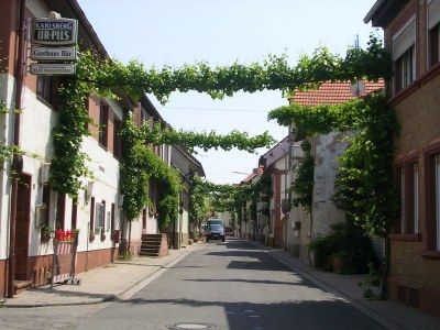 Holiday apartment Keßler - Environment photo 17