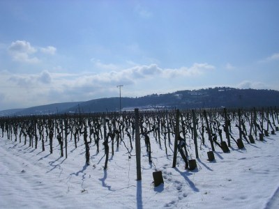 Holiday apartment Keßler - Environment photo 20