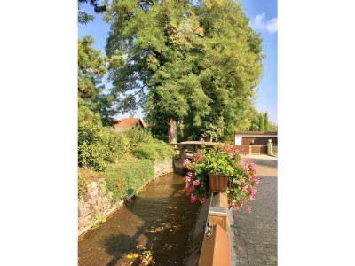 Holiday apartment Keßler - Environment photo 22