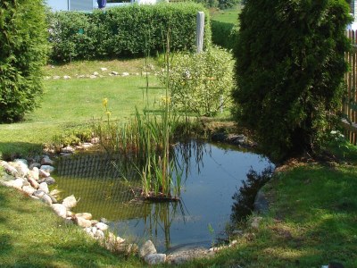 Holiday apartment Gudrun - Outdoor photo 4