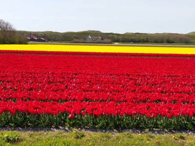 Holiday house Villa Sonnendeck - Environment photo 23