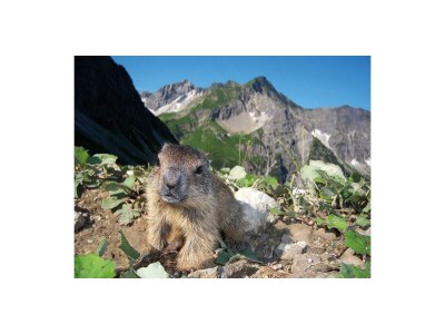 Apartment 3-Raum Appartement mit 2 Balkonen Nr. 10 - Outdoor photo 58