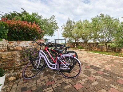 Villa Villa Mimosa - Charming Villa Mimosa with a pool - Outdoor photo 6