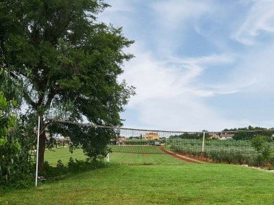 Villa Villa Mimosa - Charming Villa Mimosa with a pool - Environment photo 28