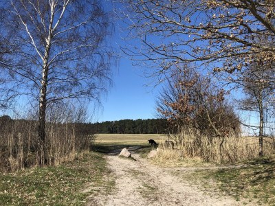 Holiday apartment MarieMare11 - Outdoor photo 9