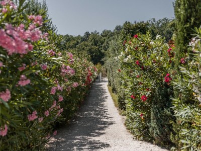 Holiday apartment St. Josefhof - Outdoor photo 9