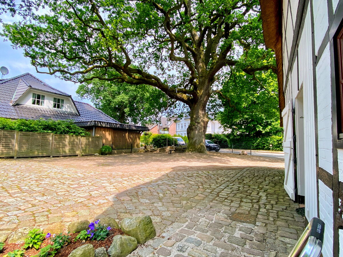 Cottage Saskia - Outdoor photo 5