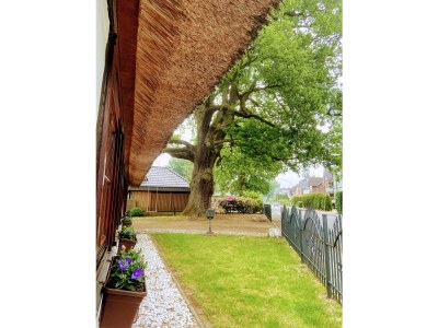 Cottage Saskia - Outdoor photo 11