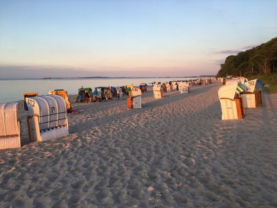 Cottage Saskia - Environment photo 36