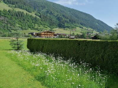 Apartment Appartement Waldhyazinthe - Outdoor photo 23