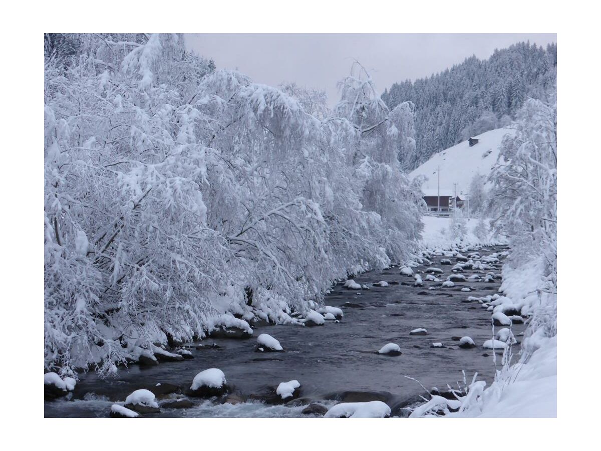 Apartment Ferienwohnung Jagahäusl - Outdoor photo 5