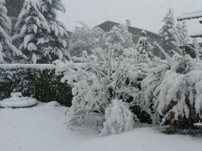 Apartment Appartement Sonnenhut - Outdoor photo 6