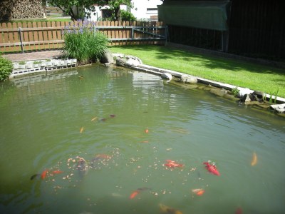 Holiday house Huber's holiday home 1 - Outdoor photo 8