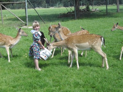 Holiday house Huber's holiday home 1 - Outdoor photo 10
