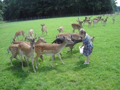 Holiday house Huber's holiday home 1 - Outdoor photo 13