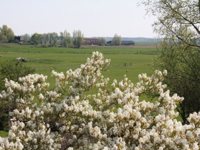 Holiday apartment Wachter - Outdoor photo 2