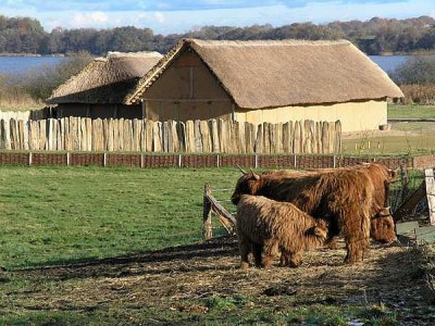 Holiday apartment Wachter - Environment photo 12
