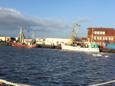 Holiday apartment Wachter - Environment photo 15