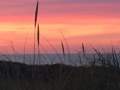 Holiday apartment Wachter - Environment photo 23