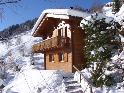 Chalet right on the piste "4 Vallees" - Outdoor photo 2