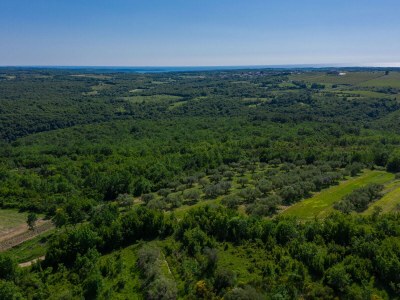 Villa Villa Skarline - Environment photo 39